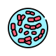 Bifidobacterium icon