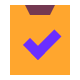 Inspection icon