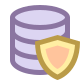 Protezione dati icon