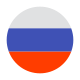 circular da federação russa icon