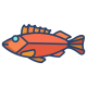 Rock Fish icon