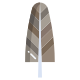 Long-Eared Owl Feather icon