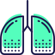 Lungs icon