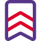 Double striped batch for home guards national uniform icon