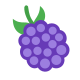 Black Berry icon