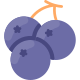 Blackcurrant icon