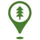 Fir icon