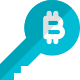 Bitcoin authentication key for private portal login icon