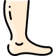 Foot icon