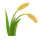 一捆稻子 icon