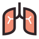 Pulmones icon