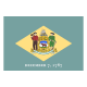Delaware-Flagge icon