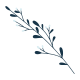 Branch icon