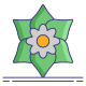 Gardenia icon
