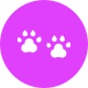 Animal icon