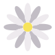 Daisy icon