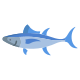 Tuna Fish icon