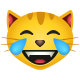 chat-avec-des-larmes-de-joie icon
