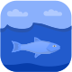 Beluga icon