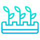 Plants icon