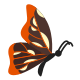 vista lateral da borboleta icon