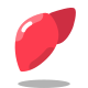 Liver icon