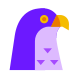 雀鹰 icon