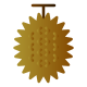 Durian icon