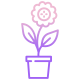 Flower Pot icon