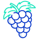 Uvas icon