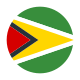 Guyana-circolare icon