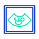 Ultrasound icon