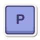 p-ключ icon
