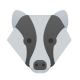 Texugo icon