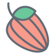 Carambola icon