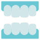 False Teeth icon