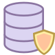 Protección de datos icon