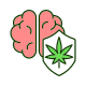 Brain Protection icon