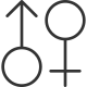 Female and Male icon