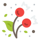 Berries icon