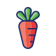 Zanahoria icon