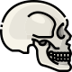 Cranio icon