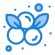 Blueberry icon