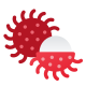 Rambutan icon