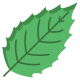 Holly Leaf icon