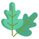 Oak Leaf icon