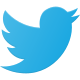 Twitter Logo icon