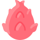Pitaya icon