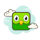 Duolingo Logo icon