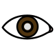 glaucoma icon